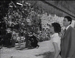 梅雨の映画鑑賞